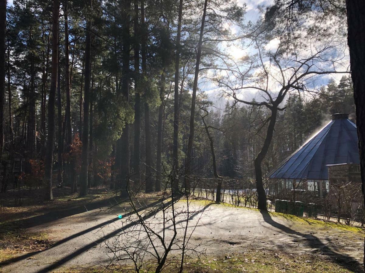 Krokodyl Mielno  Exteriér fotografie