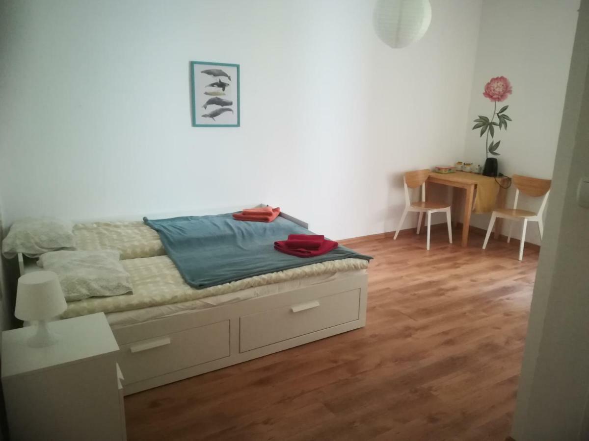 Krokodyl Mielno  Exteriér fotografie